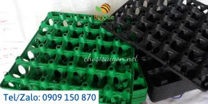 KHAY NHỰA – VỈ NHỰA ĐỰNG TRỨNG 30 QUẢ GIÁ SỈ RẺ