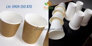Ly giấy giá rẻ cho khách sỉ tại Tp.HCM