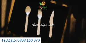PHÂN PHỐI MUỖNG – NĨA – DAO GỖ GIÁ SỈ RẺ TẠI TP.HCM