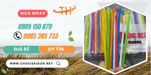 Mua ống hút muỗng nhiều màu giá rẻ nhất TP.HCM