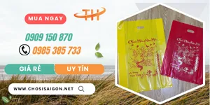 Tìm nơi cung cấp túi hột xoài đựng lịch Tết giá sỉ rẻ