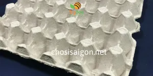 CUNG CẤP KHAY GIẤY – VỈ GIẤY ĐỰNG TRỨNG GIA CẦM GIÁ SỈ ƯU ĐÃI