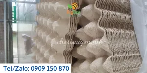 NƠI BÁN KHAY GIẤY – VỈ GIẤY ĐỰNG TRỨNG GIÁ RẺ