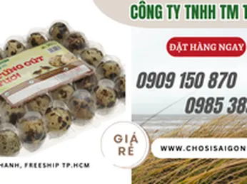 Giá sỉ tận xưởng rẻ vỉ nhựa đựng trứng cút