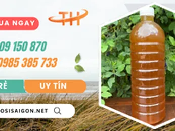 Bán giá rẻ vỏ chai nhựa 1L đựng mật ong uy tín