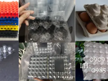 Phân phối các loại vỉ đựng trứng giá sỉ rẻ TP.HCM