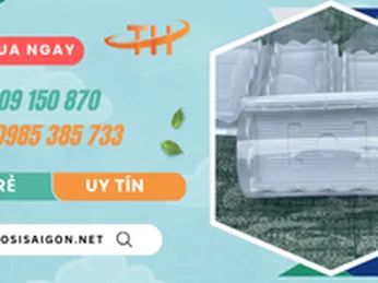 Chuyên sỉ giá siêu rẻ hộp nhựa đựng bánh bông lan