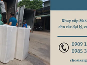 Xuất xưởng khay xốp M16 giao cho cửa hàng tại quận 4 – TP.HCM