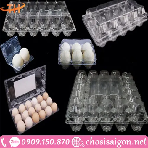 HỘP – KHAY – VỈ NHỰA ĐỰNG TRỨNG