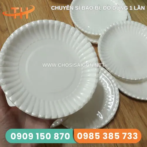 DĨA GIẤY SIZE NHỎ D13CM
