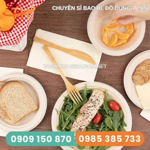 DĨA GIẤY TRẮNG D19CM