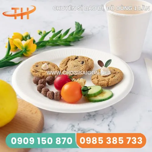 DĨA GIẤY SIZE LỚN D23CM