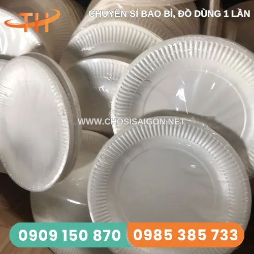 DĨA GIẤY SIZE LỚN D23CM