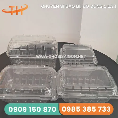 HỘP NHỰA TRONG ĐỰNG RAU MẦM – TRÁI CÂY – ĐỰNG BÁNH