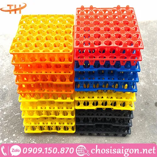 HỘP – KHAY – VỈ NHỰA ĐỰNG TRỨNG