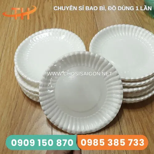 DĨA GIẤY SIZE NHỎ D13CM