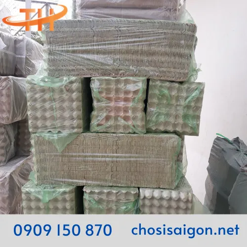 VỈ GIẤY – KHAY GIẤY ĐỰNG TRỨNG NUÔI DẾ