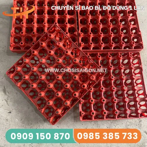 VỈ NHỰA PP ĐỰNG TRỨNG GÀ VỊT 30 QUẢ
