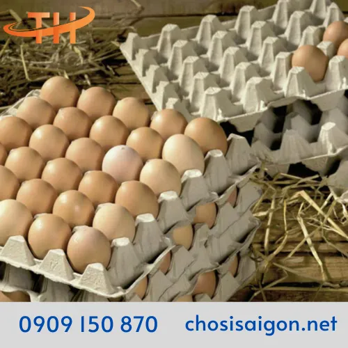 KHAY GIẤY – VỈ GIẤY ĐỰNG TRỨNG 30 QUẢ VIỆT NAM