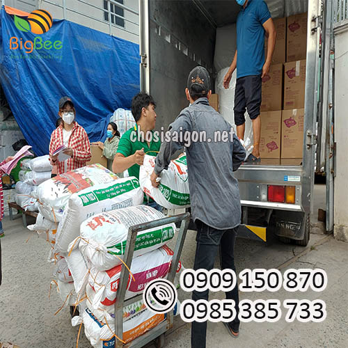 Kho sỉ túi 2 quai đục lỗ giá rẻ nhất