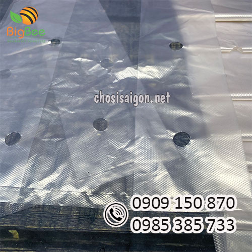 Gía sỉ rẻ túi 2 quai đục lỗ bền chắc, khó rách