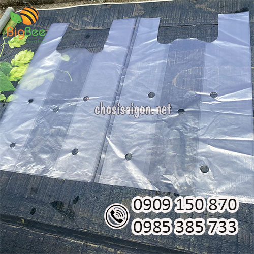 Túi nilon 2 quai đục lỗ 25 kg/bao giá sỉ rẻ