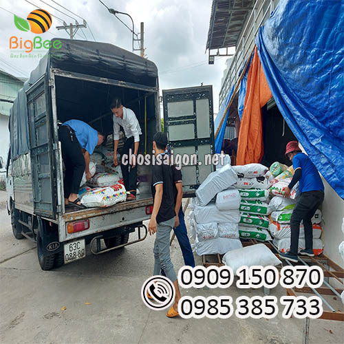 Giao hàng túi 2 quai đục lỗ toàn quốc, nhiều ưu đãi hấp dẫn