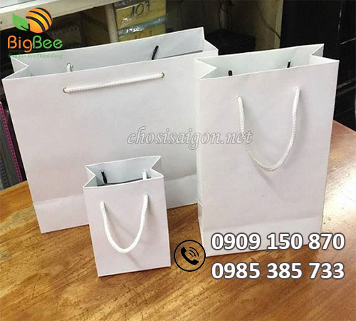 Bán sỉ rẻ túi giấy kraft trắng trơn