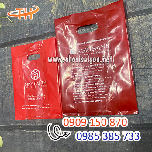 Nhận in logo túi hột xoài giá rẻ tại HCM