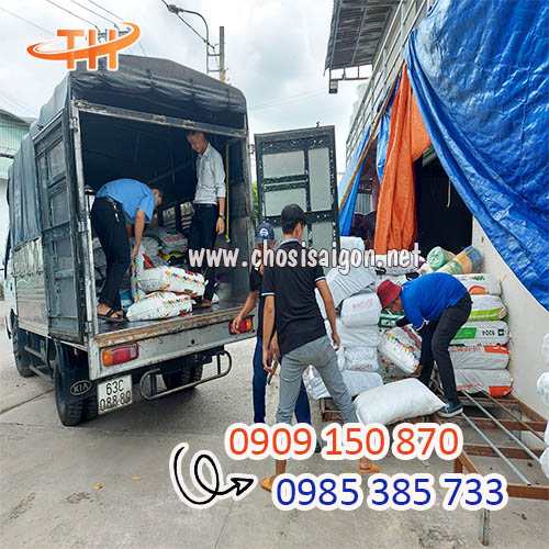 Túi xốp đục lỗ giao sỉ tận nơi, freeship HCM giá rẻ