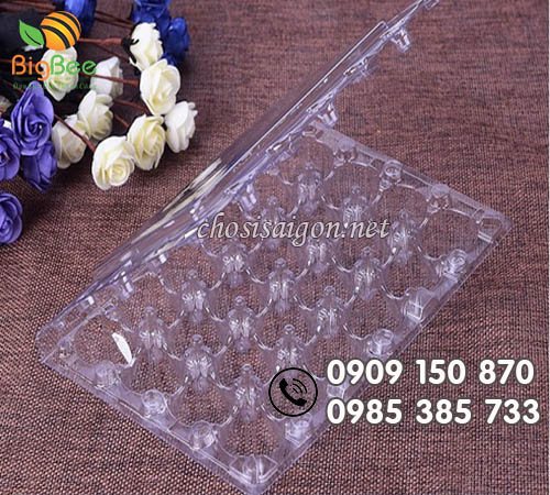 Vỉ đựng trứng cút giá rẻ tại TP.HCM