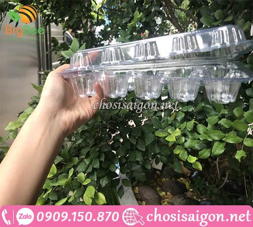 Mua vỉ nhựa đựng trứng gà 10 quả giá rẻ tại TP.HCM