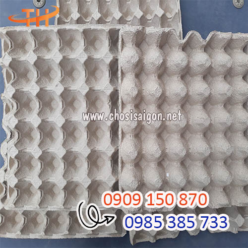 Vỉ giấy đựng trứng 30 quả Malaysia giá rẻ uy tín