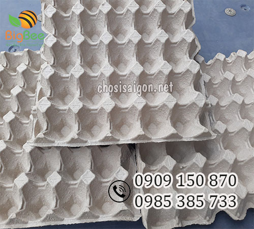 Vỉ giấy đựng trứng hãng Malaysia giá sỉ tốt nhất