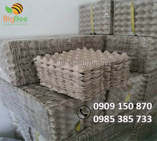 Vỉ giấy khay giấy đựng 30 trứng phân phối giá rẻ