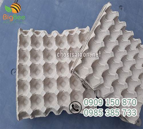 Vỉ giấy Malaysia 30 quả giá sỉ tại TP.HCM