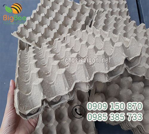 Vỉ giấy Malaysia giá sỉ toàn quốc