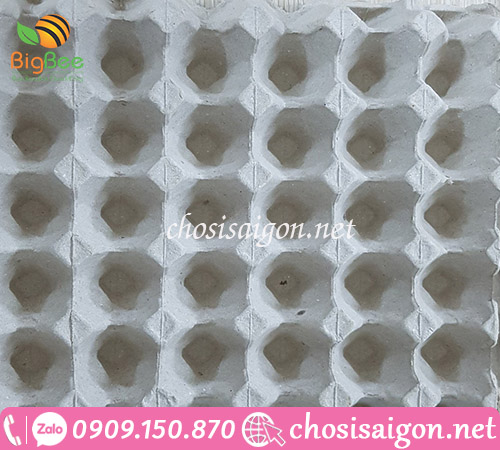 Vỉ giấy đựng trứng hiệu Malaysia giá rẻ tại TP.HCM