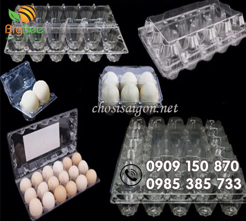Bán sỉ vỉ nhựa đựng trứng các loại
