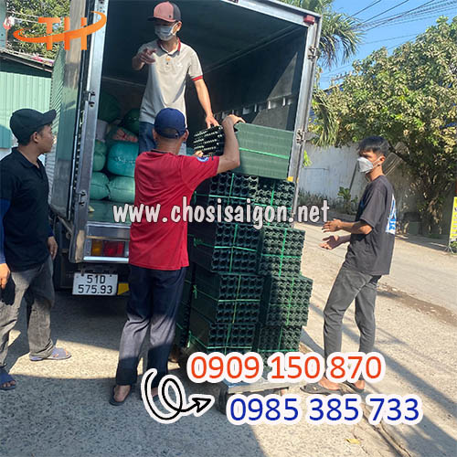 Vỉ, khay nhựa cứng 30 lỗ màu xanh rêu giao sỉ tận nơi giá rẻ