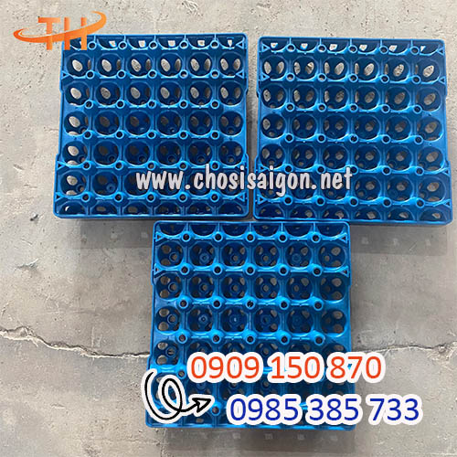 Vỉ, khay nhựa PP cứng 30 quả sử dụng nhiều lần giá rẻ