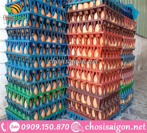 Vỉ nhựa PP màu xanh, đen, đỏ đựng 30 quả trứng