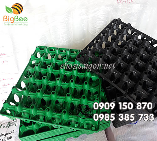 Vỉ nhựa đựng 30 trứng giá sỉ rẻ