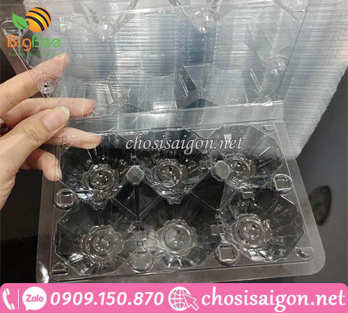 Gía sỉ rẻ vỉ nhựa đựng 6 quả trứng tại TP.HCM