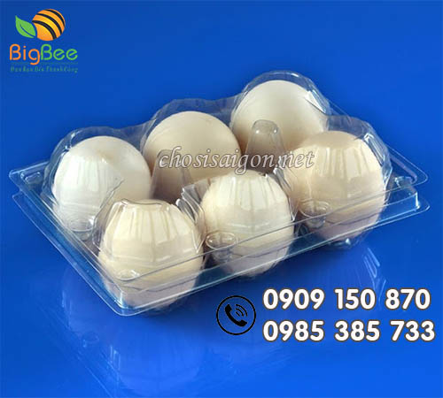 Mua vỉ nhựa đựng 6 trứng giá sỉ tại công ty Thu Hồng