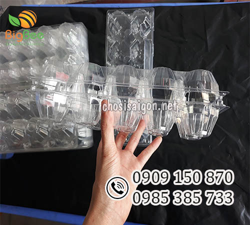 Vỉ nhựa đựng trứng 10 quả chất liệu nhựa pet cao cấp giá sỉ rẻ
