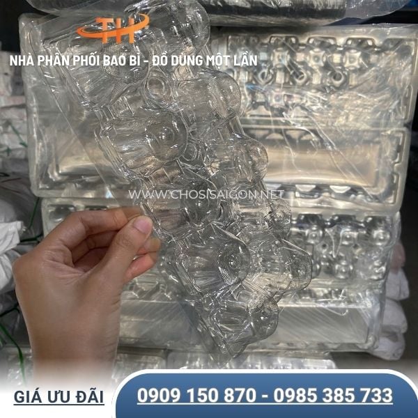 Vỉ nhựa 10 quả đựng trứng gà vịt