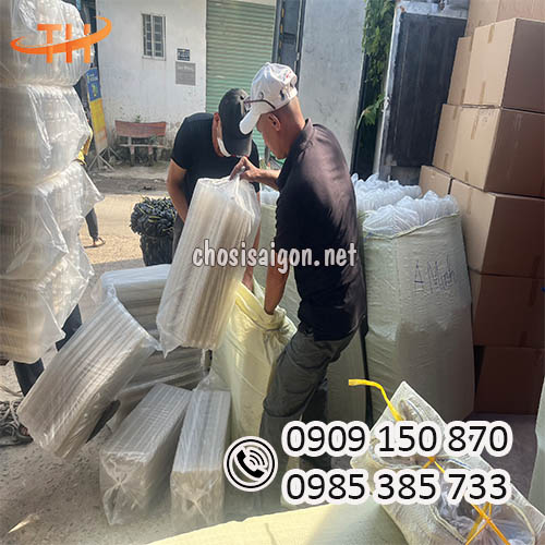 Vỉ nhựa đựng trứng 10 quả giá tốt, giao hàng nhanh