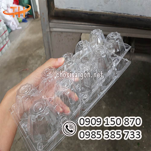 Gía siêu rẻ vỉ đựng trứng 10 quả