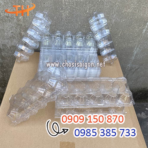 Vỉ nhựa đựng trứng 10 quả giá ưu đãi
